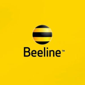 Мобильные Прокси Билайн private 30 дней